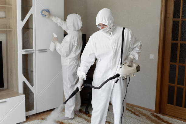 Trusted Barrett, TX Mold Remediation Experts